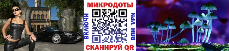 Купить закладки  Нариманов  Псилоцибиновые грибы мицелий 
