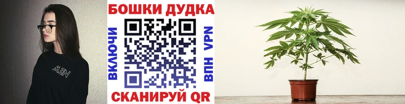 Купить закладки  Нариманов  Марихуана план 